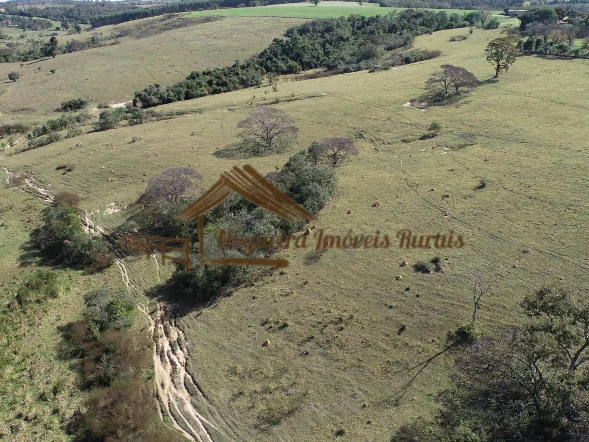 Fazenda à venda de 125 ha em Porto Feliz, SP, Brasil