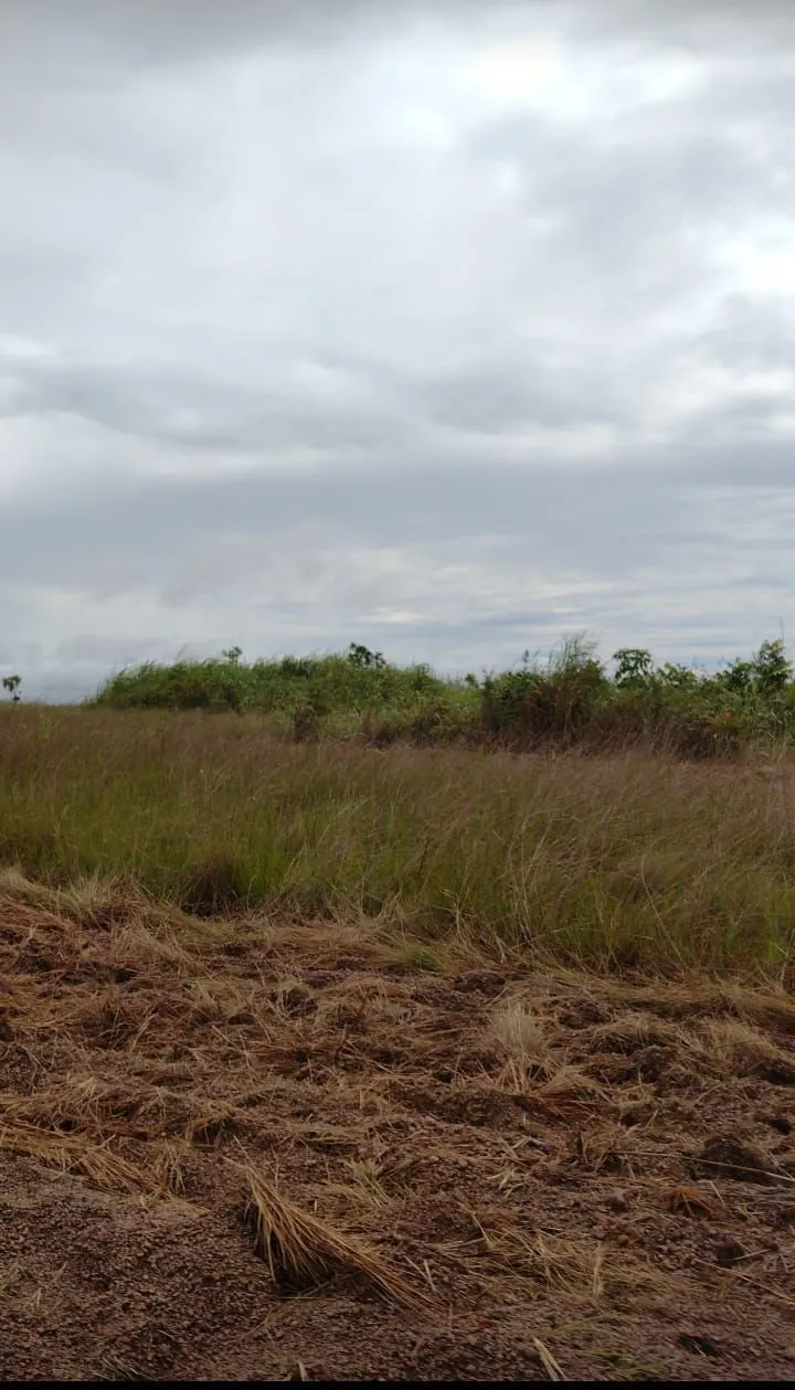 Farm for sale of 6,178 acres in Nova Brasilândia, MT, Brazil