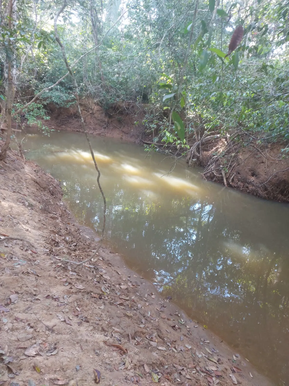 Farm for sale of 6,178 acres in Nova Brasilândia, MT, Brazil