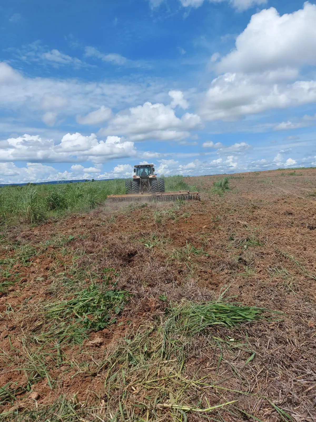 Farm for sale of 6,178 acres in Nova Brasilândia, MT, Brazil