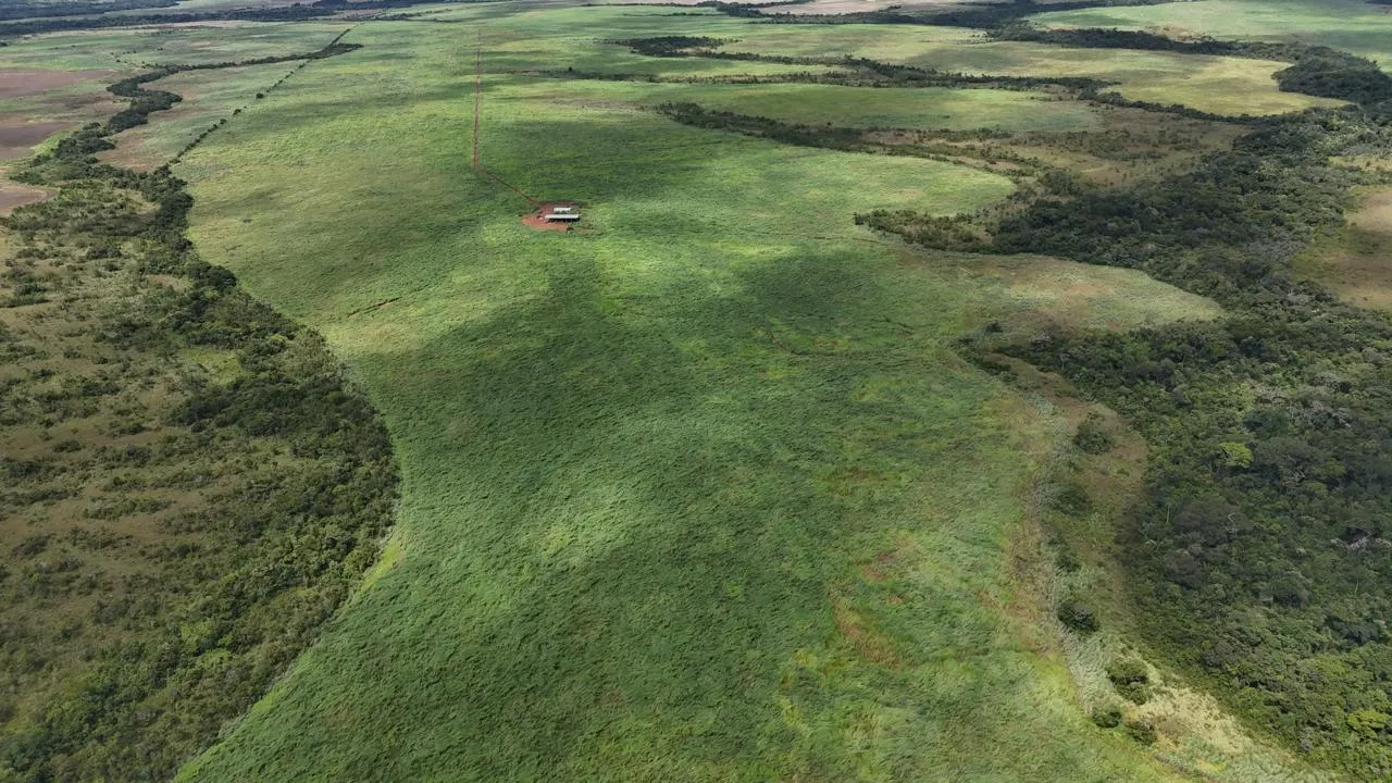 Fazenda à venda de 2.500 ha em Nova Brasilândia, MT, Brasil