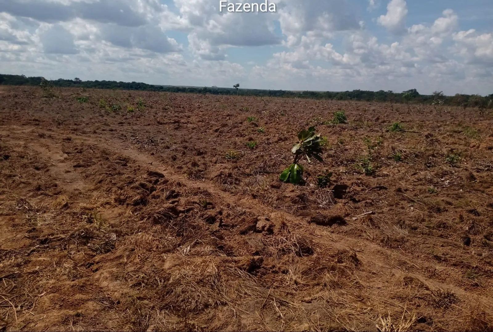 Farm for sale of 6,178 acres in Nova Brasilândia, MT, Brazil