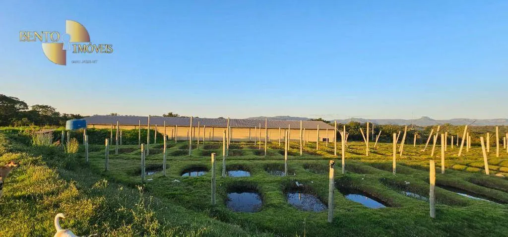 Sítio à venda de 32 ha em Cuiabá, MT, Brasil