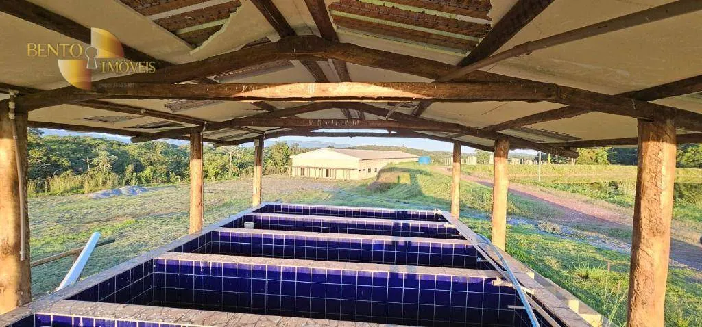 Sítio à venda de 32 ha em Cuiabá, MT, Brasil