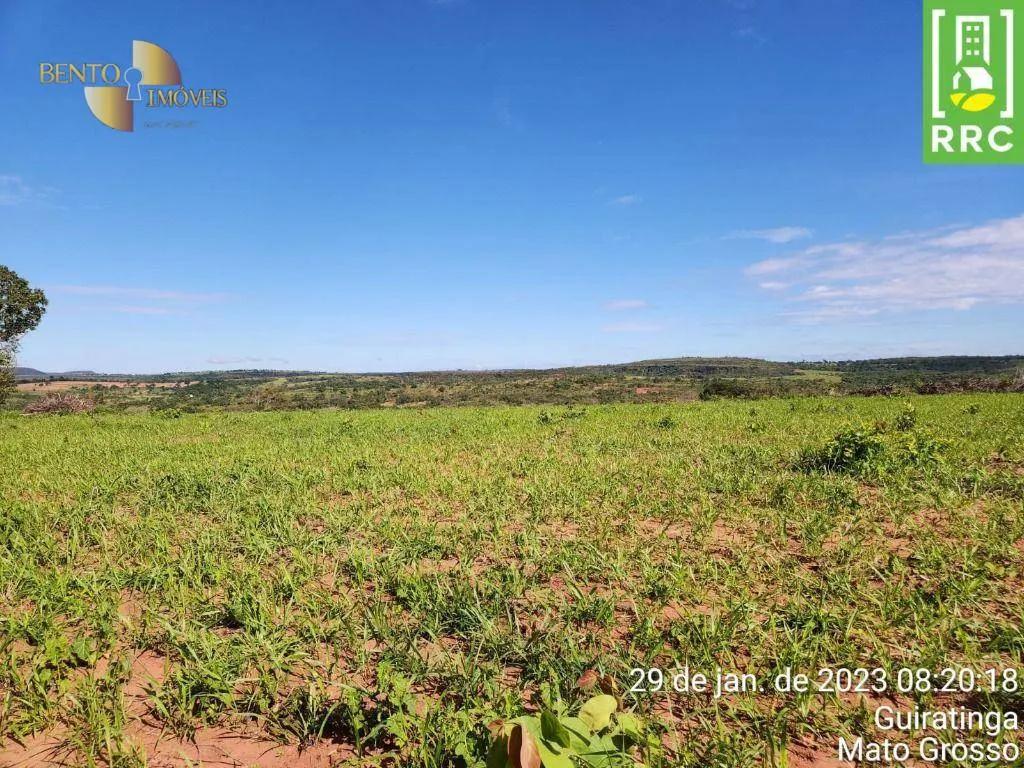 Farm for sale of 2,871 acres in Alto Garças, MT, Brazil