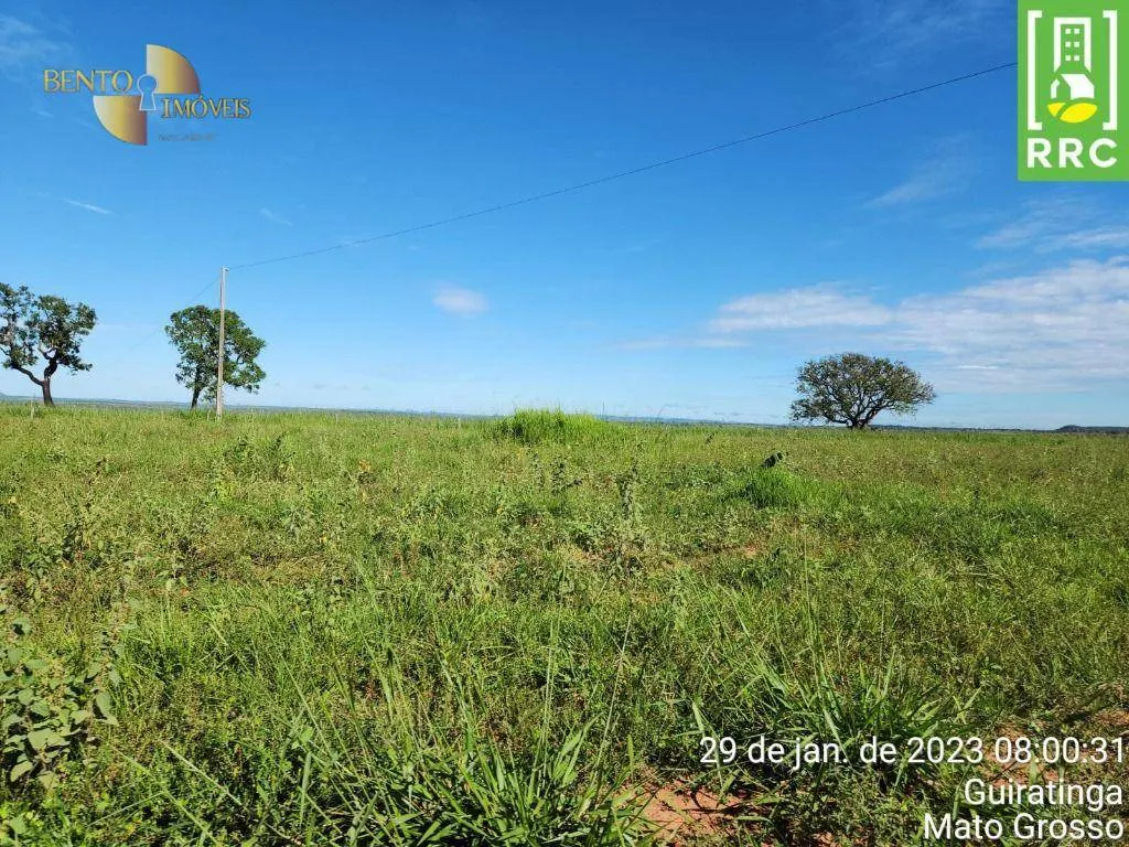 Farm for sale of 2,871 acres in Alto Garças, MT, Brazil