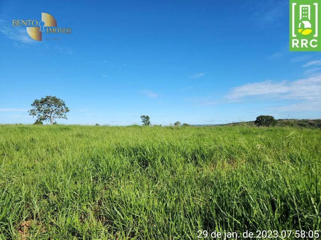 Farm for sale of 2,871 acres in Alto Garças, MT, Brazil