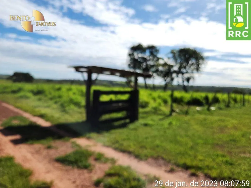 Farm for sale of 2,871 acres in Alto Garças, MT, Brazil
