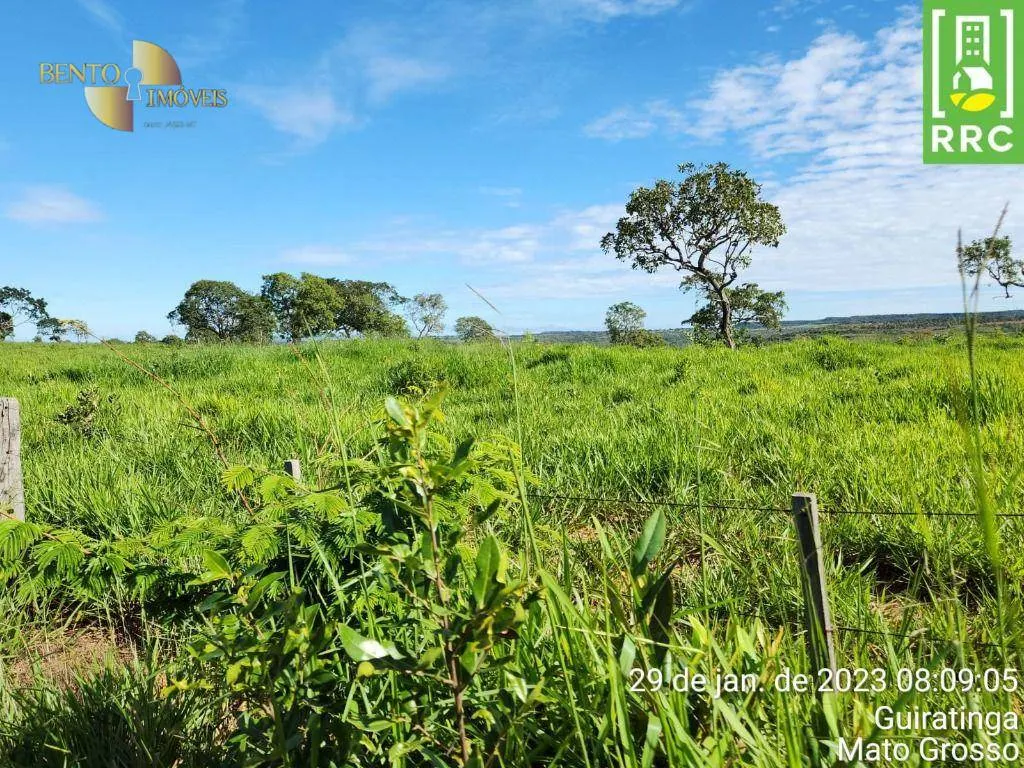 Farm for sale of 2,871 acres in Alto Garças, MT, Brazil