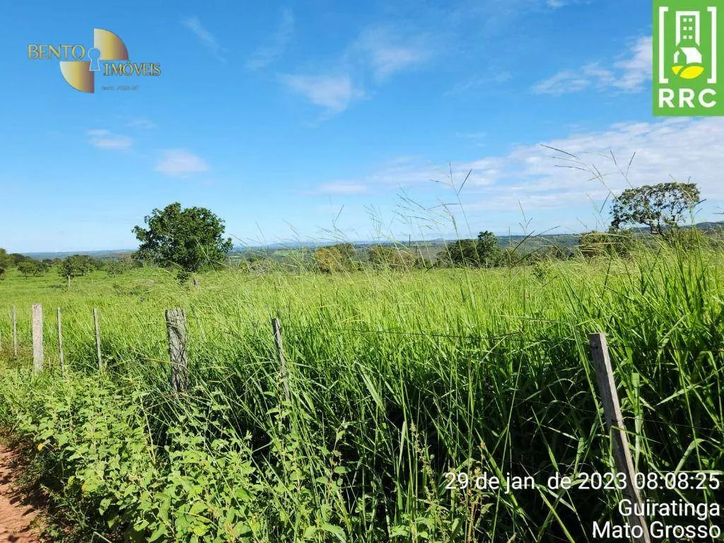 Farm for sale of 2,871 acres in Alto Garças, MT, Brazil