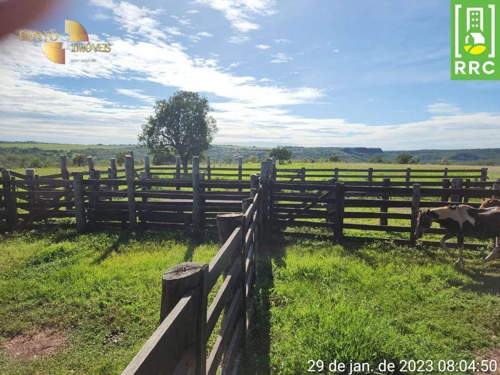 Farm for sale of 2,871 acres in Alto Garças, MT, Brazil