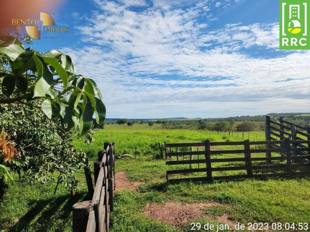 Farm for sale of 2,871 acres in Alto Garças, MT, Brazil