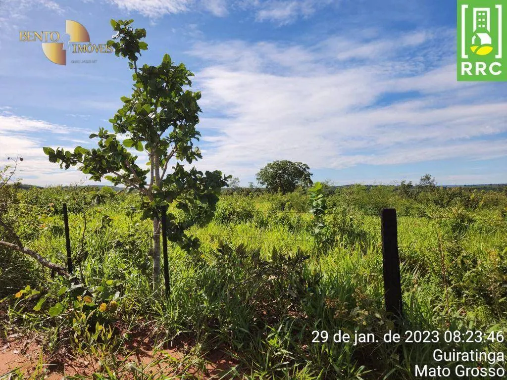 Farm for sale of 2,871 acres in Alto Garças, MT, Brazil