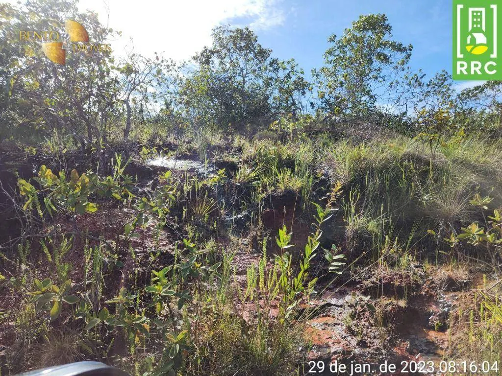 Farm for sale of 2,871 acres in Alto Garças, MT, Brazil