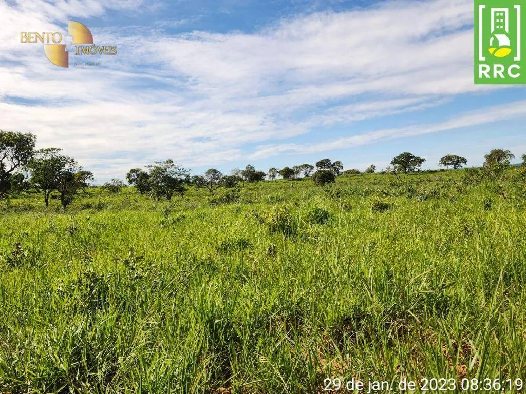 Farm for sale of 2,871 acres in Alto Garças, MT, Brazil