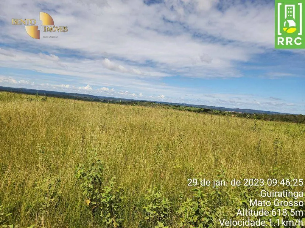 Fazenda à venda de 1.162 ha em Alto Garças, MT, Brasil