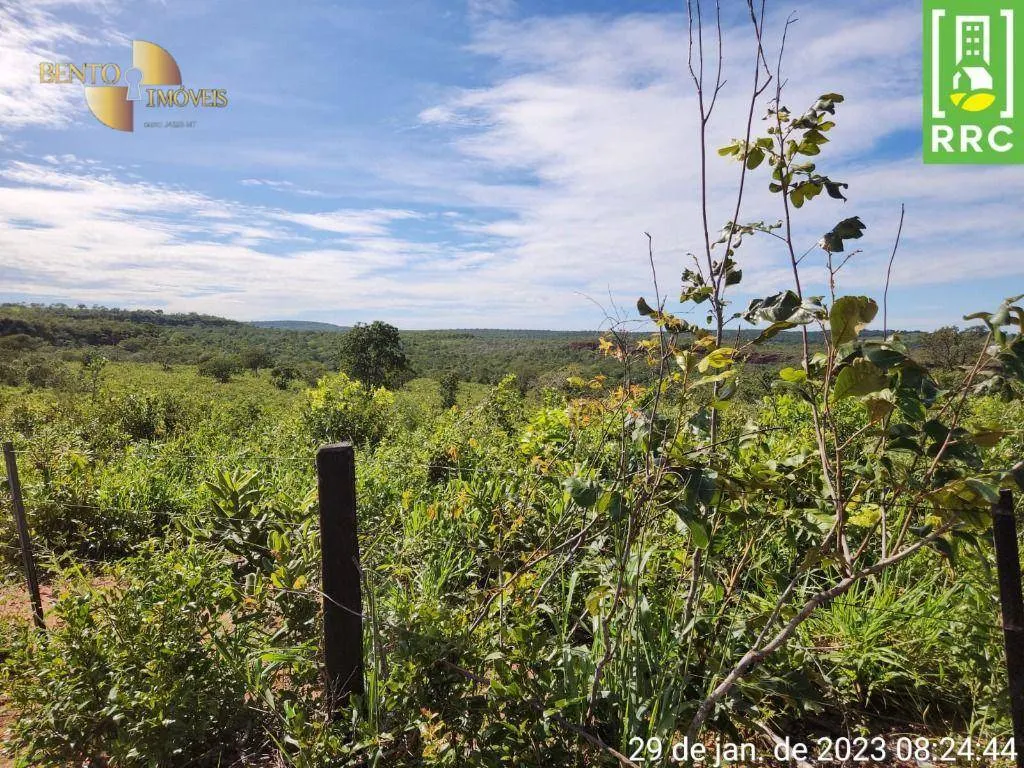 Farm for sale of 2,871 acres in Alto Garças, MT, Brazil