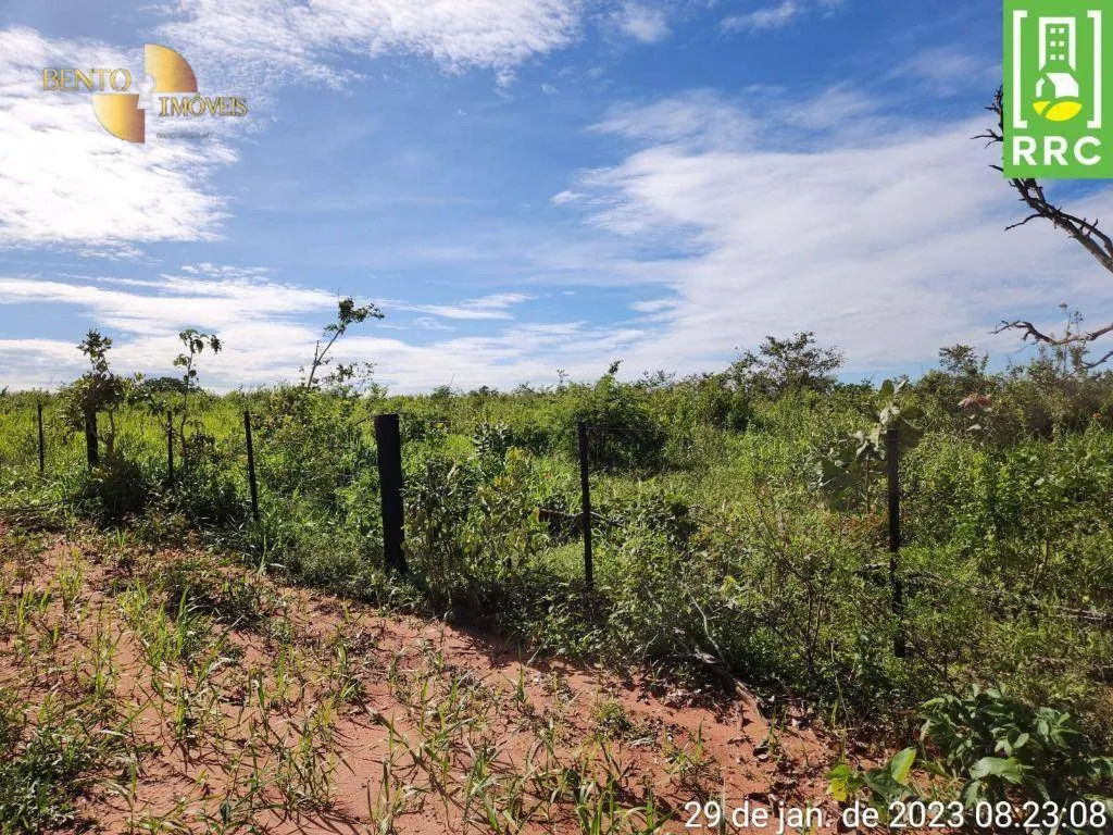 Farm for sale of 2,871 acres in Alto Garças, MT, Brazil