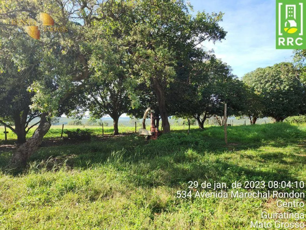 Farm for sale of 2,871 acres in Alto Garças, MT, Brazil