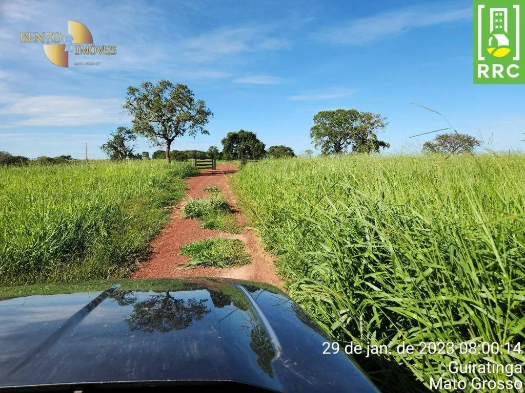 Farm for sale of 2,871 acres in Alto Garças, MT, Brazil