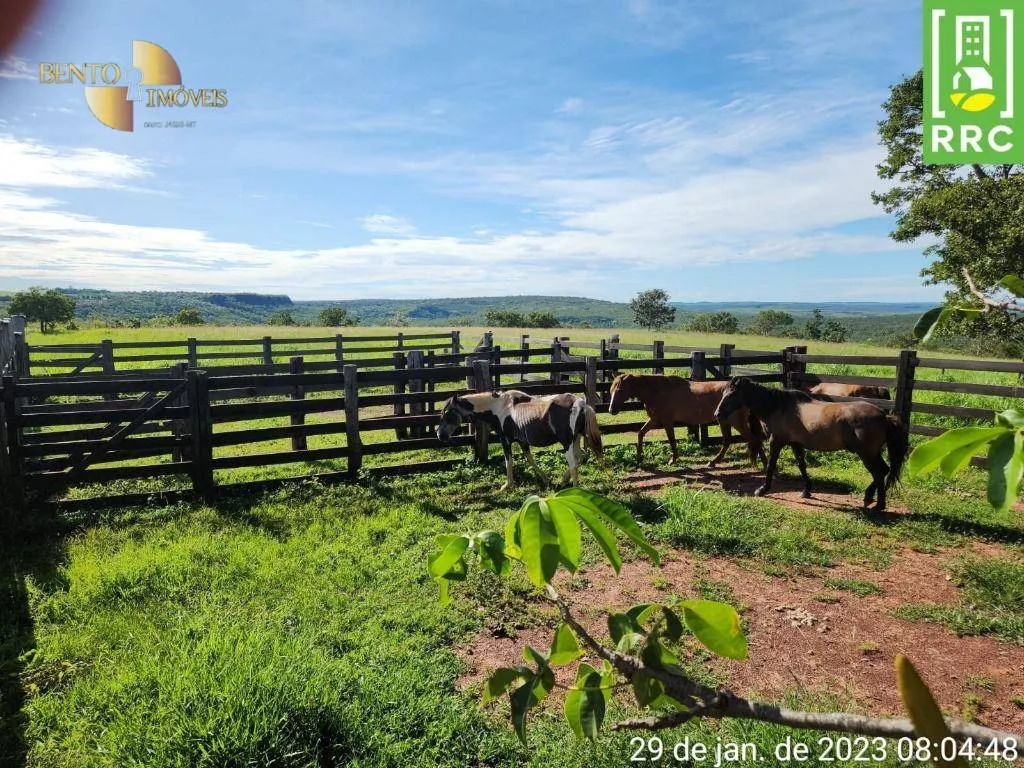 Farm for sale of 2,871 acres in Alto Garças, MT, Brazil