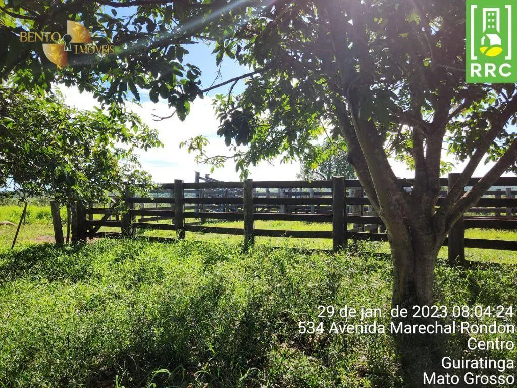 Farm for sale of 2,871 acres in Alto Garças, MT, Brazil