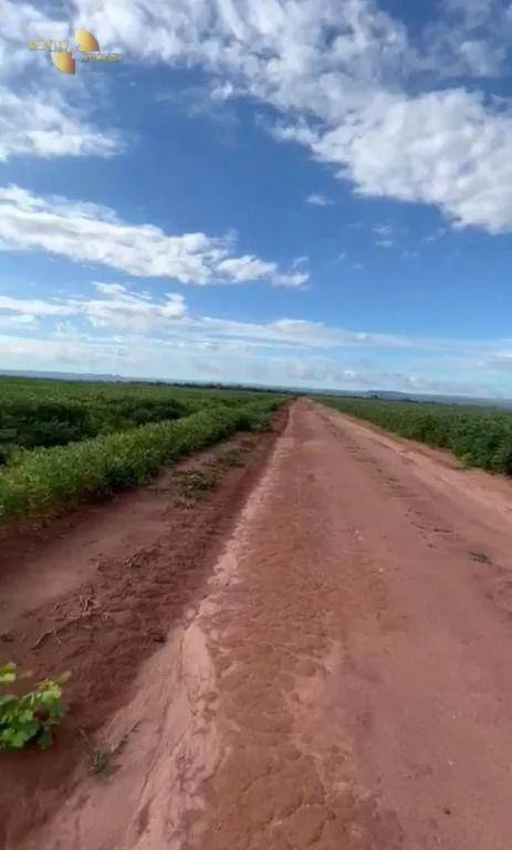 Fazenda à venda de 4.356 ha em General Carneiro, MT, Brasil