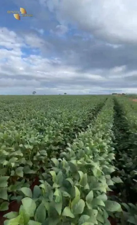 Fazenda à venda de 4.356 ha em General Carneiro, MT, Brasil