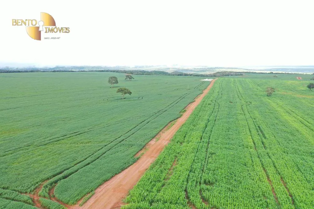 Fazenda à venda de 4.356 ha em General Carneiro, MT, Brasil