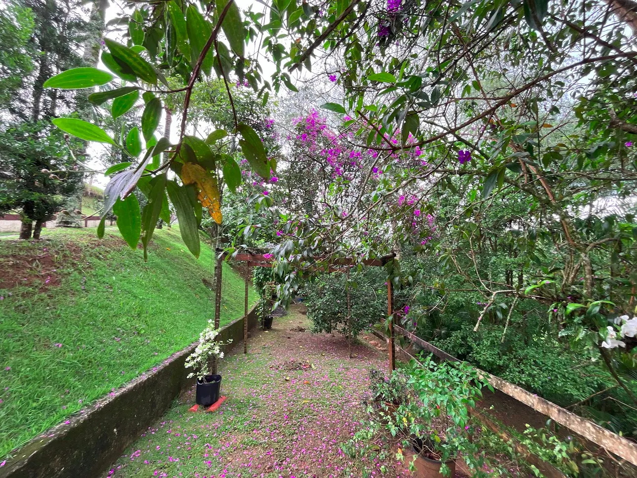 Chácara à venda de 5.000 m² em São José dos Campos, SP, Brasil