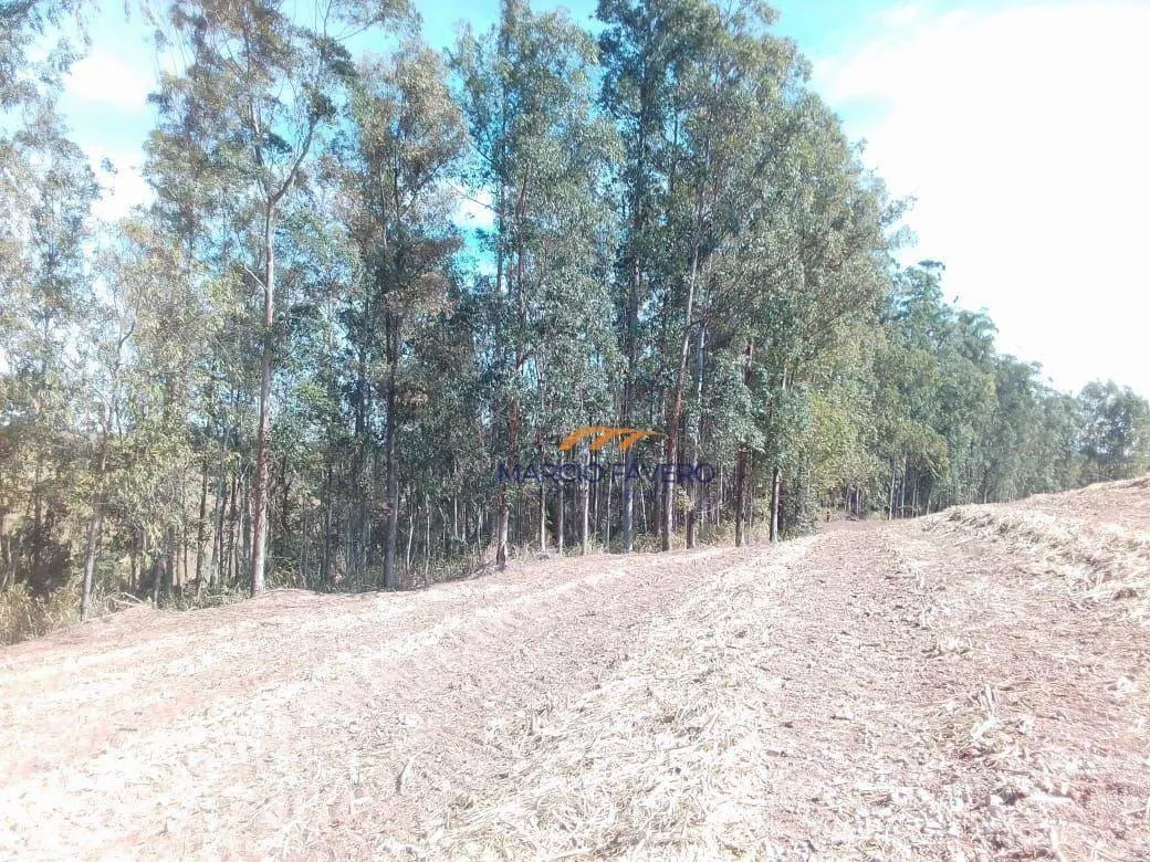 Fazenda à venda de 108 ha em Piracicaba, SP, Brasil