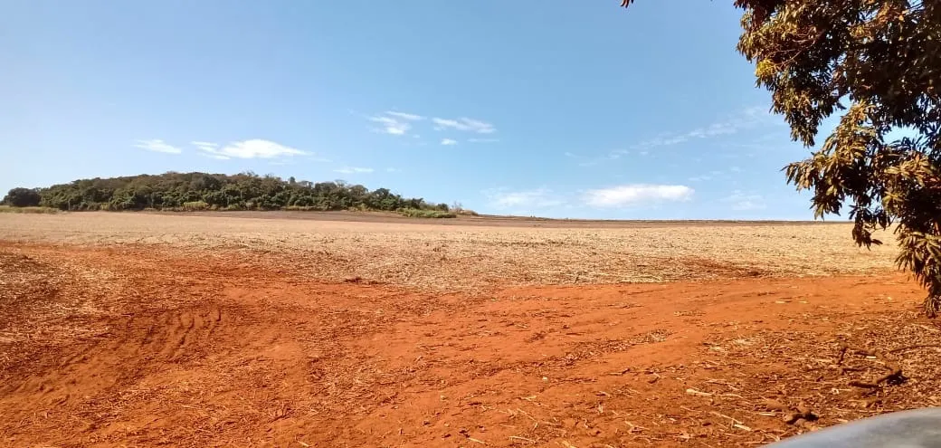 Fazenda à venda e para Arrendar de 733 ha em Altinópolis, SP, Brasil