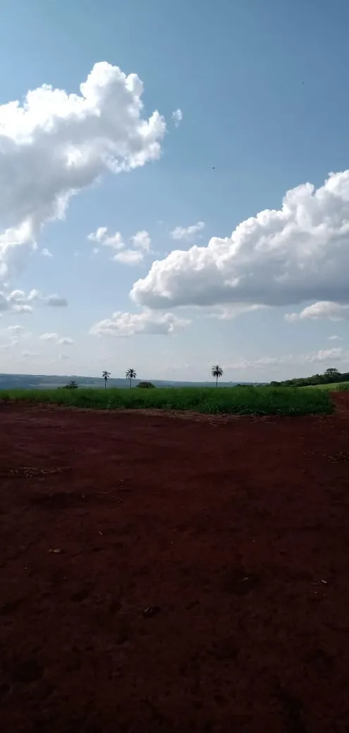 Fazenda à venda e para Arrendar de 733 ha em Altinópolis, SP, Brasil