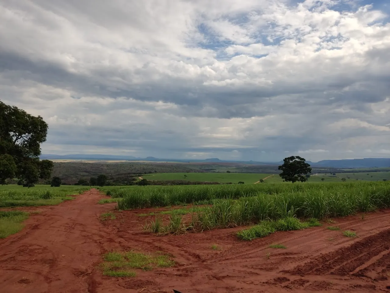 Fazenda à venda e para Arrendar de 733 ha em Altinópolis, SP, Brasil