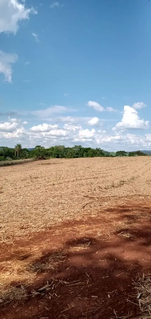 Fazenda à venda e para Arrendar de 733 ha em Altinópolis, SP, Brasil