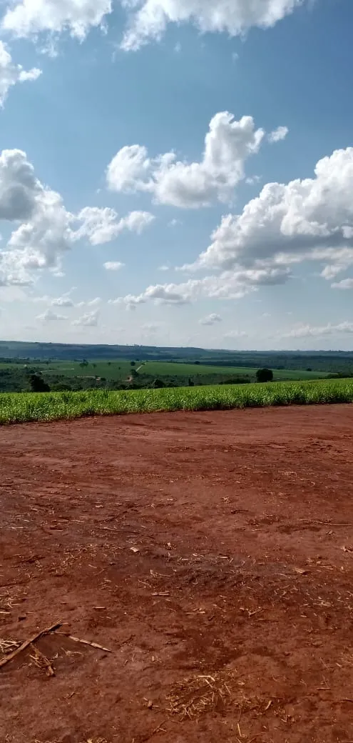 Fazenda à venda e para Arrendar de 733 ha em Altinópolis, SP, Brasil