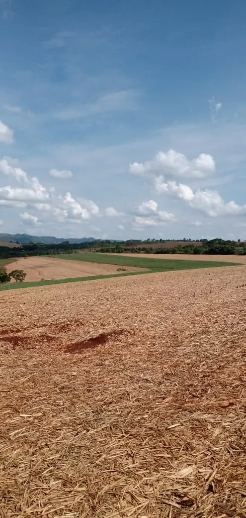 Fazenda à venda e para Arrendar de 733 ha em Altinópolis, SP, Brasil