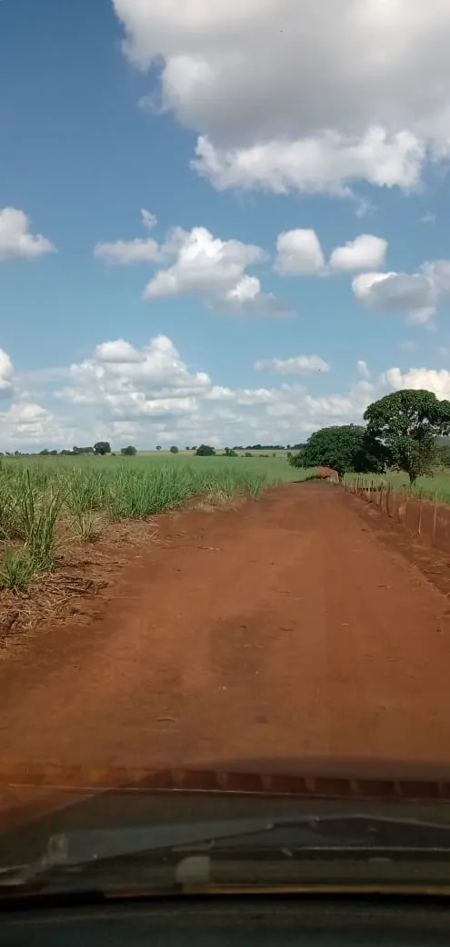 Fazenda à venda e para Arrendar de 733 ha em Altinópolis, SP, Brasil