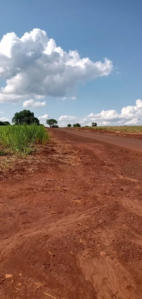 Fazenda à venda e para Arrendar de 733 ha em Altinópolis, SP, Brasil