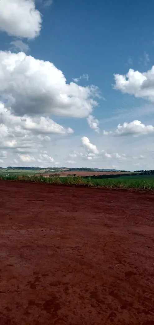 Fazenda à venda e para Arrendar de 733 ha em Altinópolis, SP, Brasil