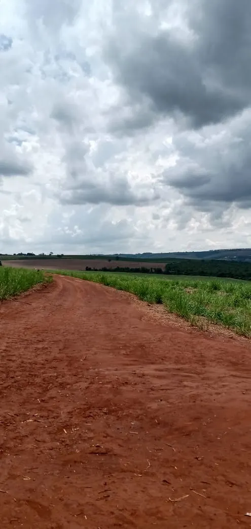 Fazenda à venda e para Arrendar de 733 ha em Altinópolis, SP, Brasil