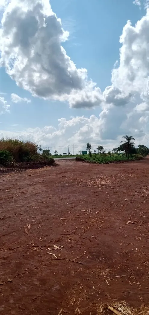 Fazenda à venda e para Arrendar de 733 ha em Altinópolis, SP, Brasil