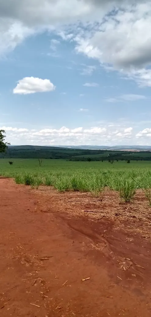 Fazenda à venda e para Arrendar de 733 ha em Altinópolis, SP, Brasil