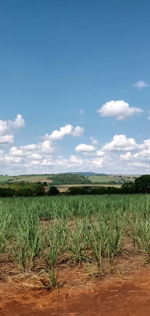 Fazenda à venda e para Arrendar de 733 ha em Altinópolis, SP, Brasil