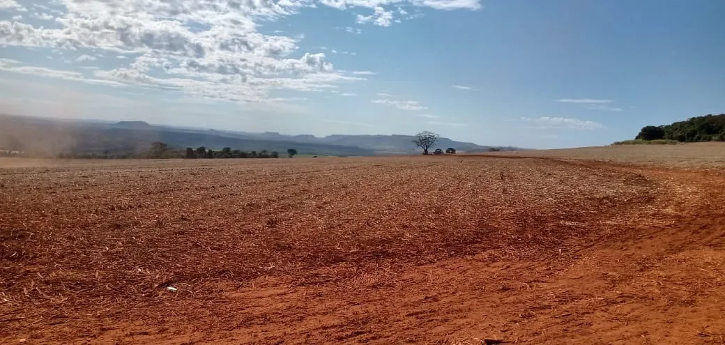 Fazenda à venda e para Arrendar de 733 ha em Altinópolis, SP, Brasil