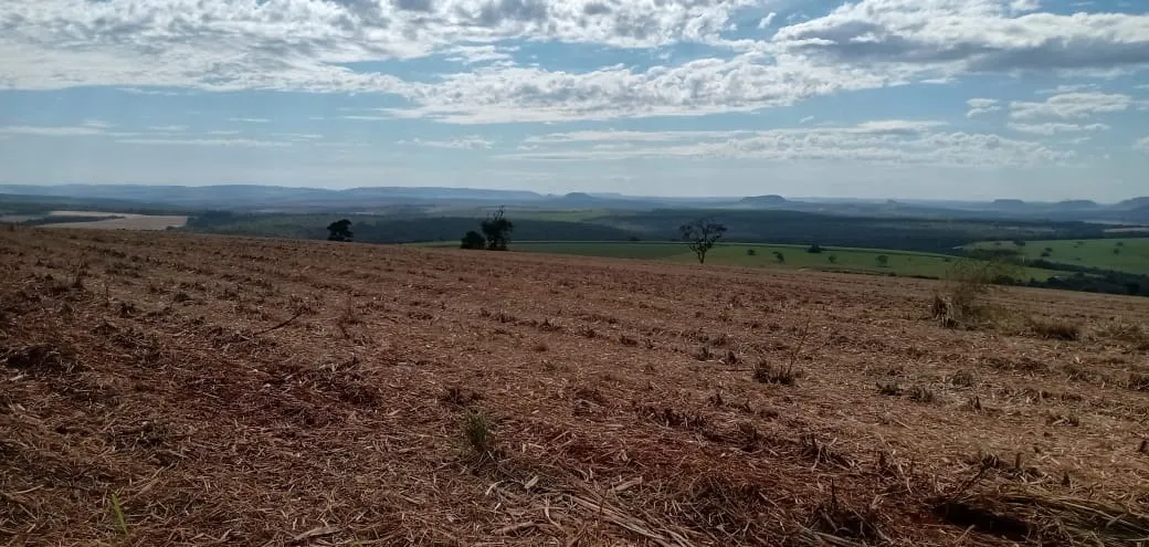 Fazenda à venda e para Arrendar de 733 ha em Altinópolis, SP, Brasil