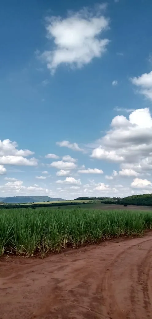 Fazenda à venda e para Arrendar de 733 ha em Altinópolis, SP, Brasil