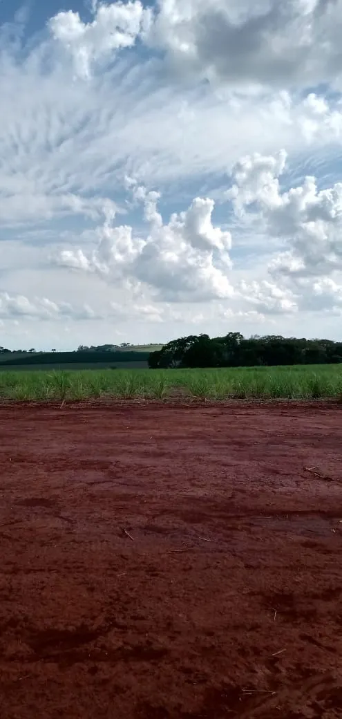 Fazenda à venda e para Arrendar de 733 ha em Altinópolis, SP, Brasil