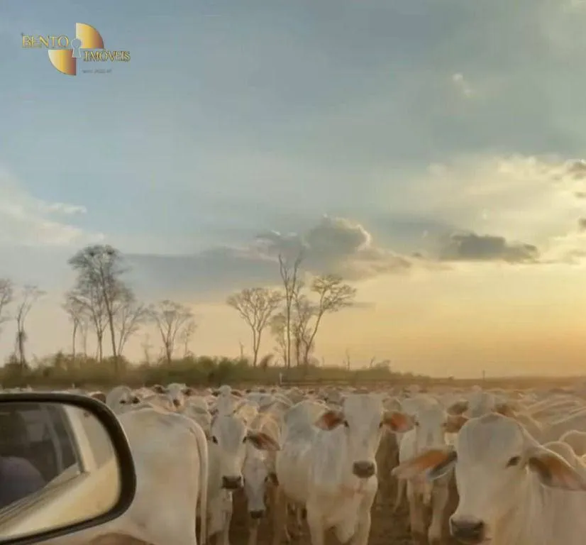 Fazenda à venda de 514 ha em Cuiabá, MT, Brasil