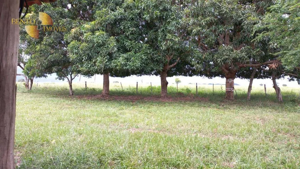 Fazenda à venda de 514 ha em Cuiabá, MT, Brasil